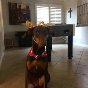 Meet your Posher, Danielle